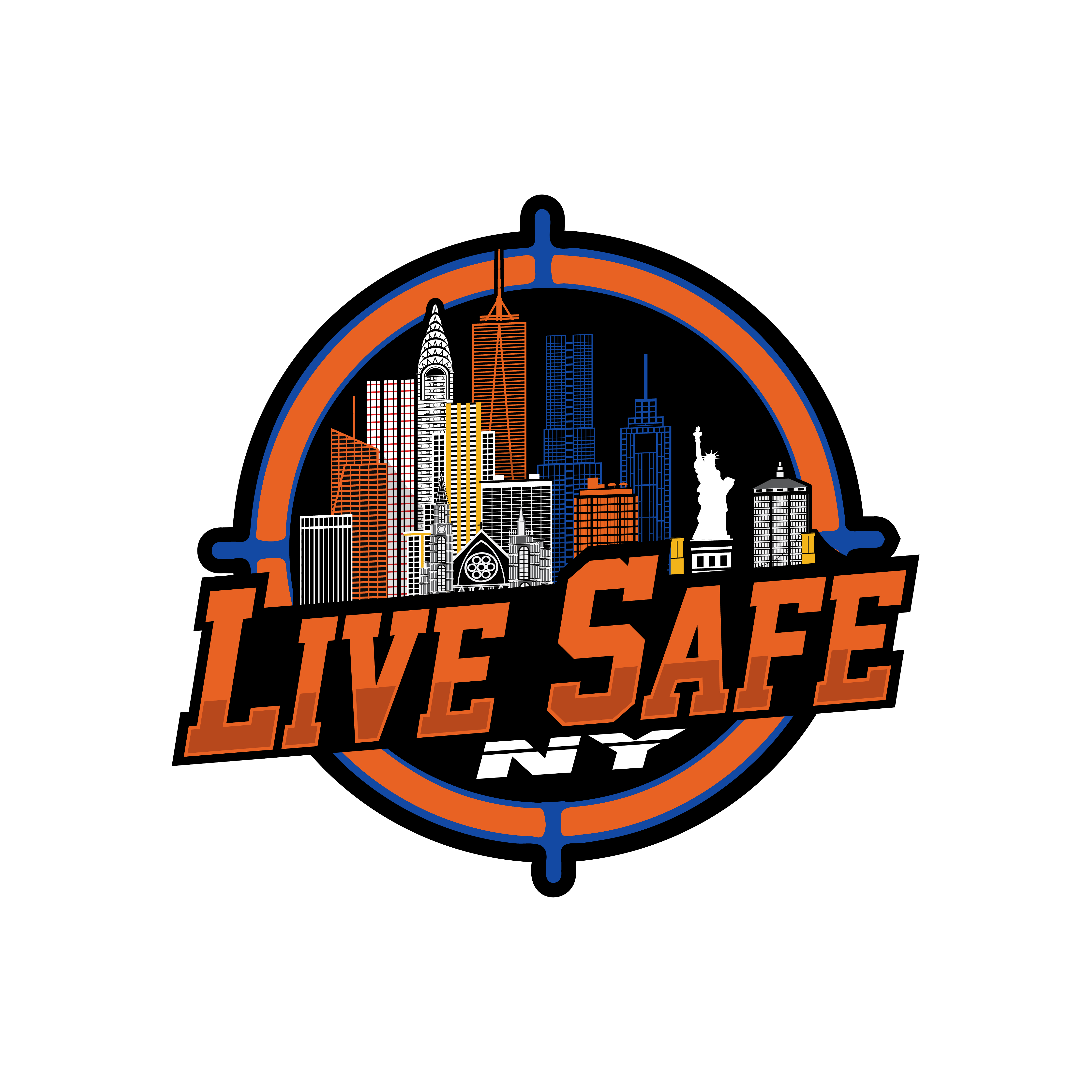 Live Safe NY - Self Defense Non-Lethal Launcher - Buffalo NY - Logo - Image 0003